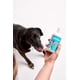 thumbnail image 5 of Suplemento de aceite de pescado Solid Gold Let's Sea para perros y gatos, 5 of 7