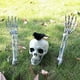 thumbnail image 5 of 1 Juego de Calavera Realista de Halloween con Cabeza de Esqueleto, y Manos Humanas, Decoración para Fiesta de Halloween, Hogar, Jardín y Césped., 5 of 6