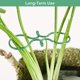 thumbnail image 4 of Uxcell 100-Pack Clips de Soporte para Plantas, 2.4" x 1.6" x 0.08" (L x W x H) Sujetadores de Clips para Plantas de Plástico, 4 of 7