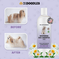 thumbnail image 3 of Whitening Dog Shampoo | Clean Ingredients | Made in USA | Brightening Dogs Fur | White & Bright Hair | Removes Stains & Discoloration [We Love Doodles], 3 of 6