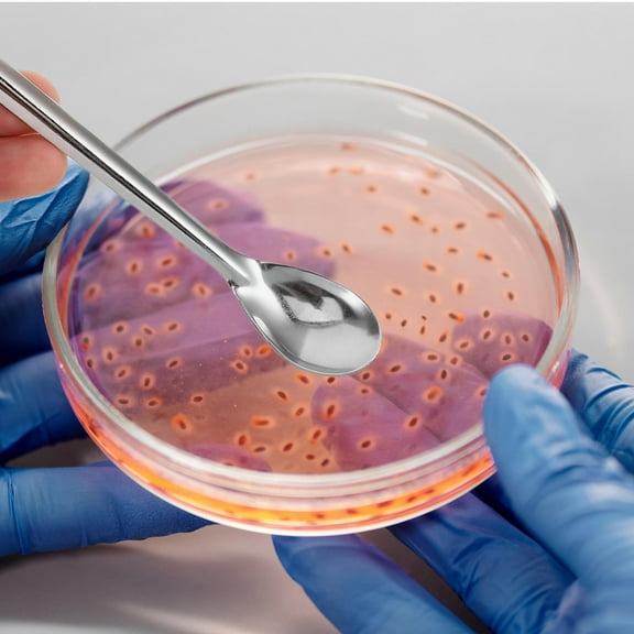 PTOOTP Stainless Steel Lab Spoon with Handle for Precise Measurement and Control