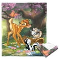 thumbnail image 6 of Bambi Sweet Bambi Dear Disney Kids Silk Touch Throw Blanket, 50 x 60 inches, 6 of 6