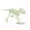 E, variant on Fridja Noctilucent Dinosaur Human Skeleton Model Assembly Skull Toy Bones Decor