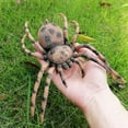 thumbnail image 1 of Insect Simulation Model Toys Simulation Wildlife Model Ornaments Creepy Lifelike Fake Spiders Cricket Ladybug Grasshopper Ant Dragonfly Realistic Inse, 1 of 4