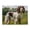 1000 Pieces, variant on 1000-Piece Wooden Jigsaw Puzzle for Adults - Spaniel Grass Flowers , Interlocking Pieces with Guide Letters, Holiday Gift & Home Decor