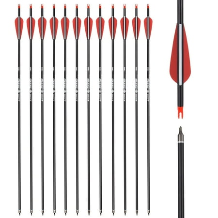 12X Archery Carbon Arrows Targeting Arrows with Replacement Screw-In Points Target Practice for Recurve and Compound Bow 26 28 30