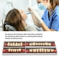 thumbnail image 4 of Synthetic Tooth, False Teeth  Hard Safe A3 425 Professional  For  Clinics, 4 of 8