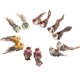 thumbnail image 1 of Decoración segura y confiable del pájaro de la simulación del color brillante pájaro artificial para la ventana del jardín de la escena del arte floral ANGGREK Otros, 1 of 8