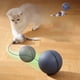 thumbnail image 1 of Bola de juguete para gatos con ratón en movimiento | Bola rodante automática para gatos de interior | Teaser de ejercicio interactivo con movimiento irregular | Material ABS | Multicolor | 1 paquete, 1 of 7