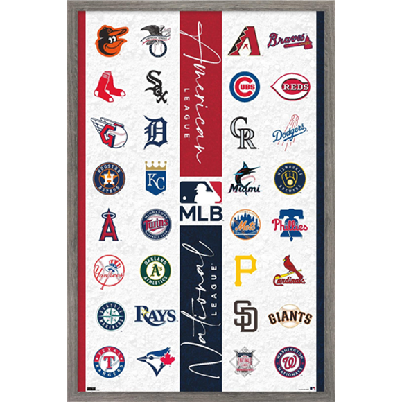 MLB22222 - FRENCH