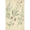 thumbnail image 3 of Elias van Nijmegen 11x14 Black Modern Framed Museum Art Print Titled - Four Studies of Pink and Blue Flowers (1677 - 1755), 3 of 5