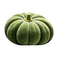thumbnail image 2 of Fall Pumpkin Shaped Bath Mat,Fluffy Absorbent Diatomaceous Earth Doormat,Thanksgiving Non Slip Stain Resistant Rug for Bathroom Bedroom Entryway Harvest Home Decor,15.74x23.62", 2 of 6
