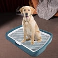 thumbnail image 1 of thinsony Mesh Dog Toilet Litter Box Easy Clean Comfortable for Small and Medium Dogs Green, 1 of 9