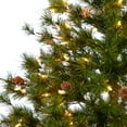 thumbnail image 7 of Nearly Natural 5ft. Colorado Mountain Pine Artificial Christmas Tree with 250 Clear Lights, 669 Bendable Branches and Pine Cones, 7 of 7