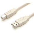 thumbnail image 2 of StarTech.com 3 ft Beige A to B USB 2.0 Cable - M/M - USB cable - USB (M) to USB Type B (M) - 3 ft - molded - USBFAB_3 - USB cable - USB (M) to USB Type B (M) - 3 ft - molded, 2 of 12