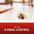 thumbnail image 4 of Eliminator Indoor Ant, Roach & Spider Killer, Lemon Scent, 17.5 Ounces, 4 of 10