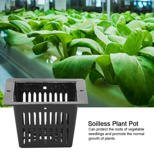 Ccdes Hydroponics Plant Pot,50Pcs Square Hydroponics Net Pot Soilless