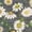 Dark Gray, variant on Women's White Antique Herbarium Passion Vine Bloom Graphic S-5XL V-Neck Sleeveless T-Shirt Fashion Lounge Tank Top