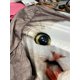 thumbnail image 4 of Camiseta casual de manga larga con estampado de gato y cuello redondo para mujer Pompotops  gfhjh16136, 4 of 4