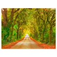 thumbnail image 1 of Design Art - Verdure d'Automne et Route Droite devant, 1 of 2
