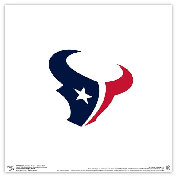 Gallery Pops NFL Houston Texans - Primary Mark Wall Art, Unframed Version, 12" x 12"