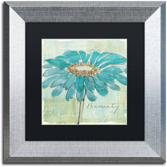 Trademark Fine Art "Spa Daisies I" Canvas Art by Chris Paschke Black Matte, Silver Frame