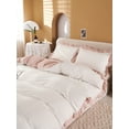thumbnail image 2 of Move Over White Pink Ruffle Bedding Sets Queen White Pink Reversible Duvet Cover Set Washed Microfiber Pink Girls Ruffled Pattern No Filling, 2 of 8