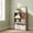 Milk Coffee, variant on LEDREM 3-Tier Adjustable Bookcase, Open Bookshelf, Storage Shelf Organizer, 22lb Capacity per Shelf, for Home, Office, Cloud White