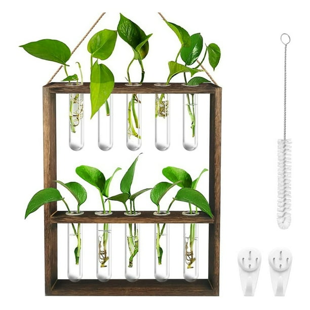 Wall Hanging Planter, 2 Tiered Plant Propagation Stations , Glass