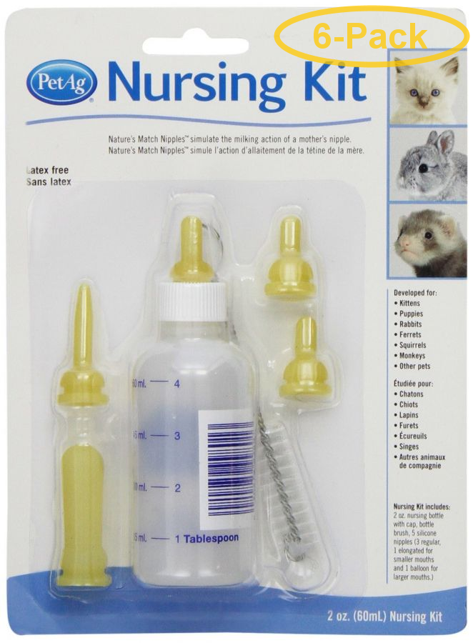 kitten baby bottle walmart