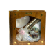 thumbnail image 1 of Kit de Vela Bautizo LIB-02 Madera Oscura Blanco, 1 of 2