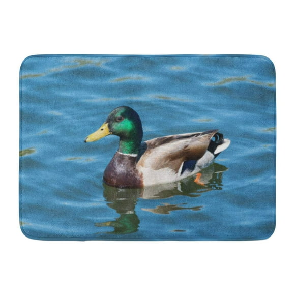 POGLIP Brown Duck Colorful Mallard in Calm Lake Green Air Avian Beak Doormat Floor Rug Bath Mat 23.6x15.7 inch
