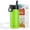 Apple Green, variant on Mollcity 16oz Stainless Steel Water Bottle with Straw - Sleek Leakproof Tumbler for Travel, Gym & Work, Trendy Modern Design (Black)