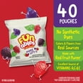thumbnail image 5 of Funables Fruity Snacks, Mixed Berry Flavored Snacks, 0.8 Ounce Pouches, 40 Count, 5 of 12