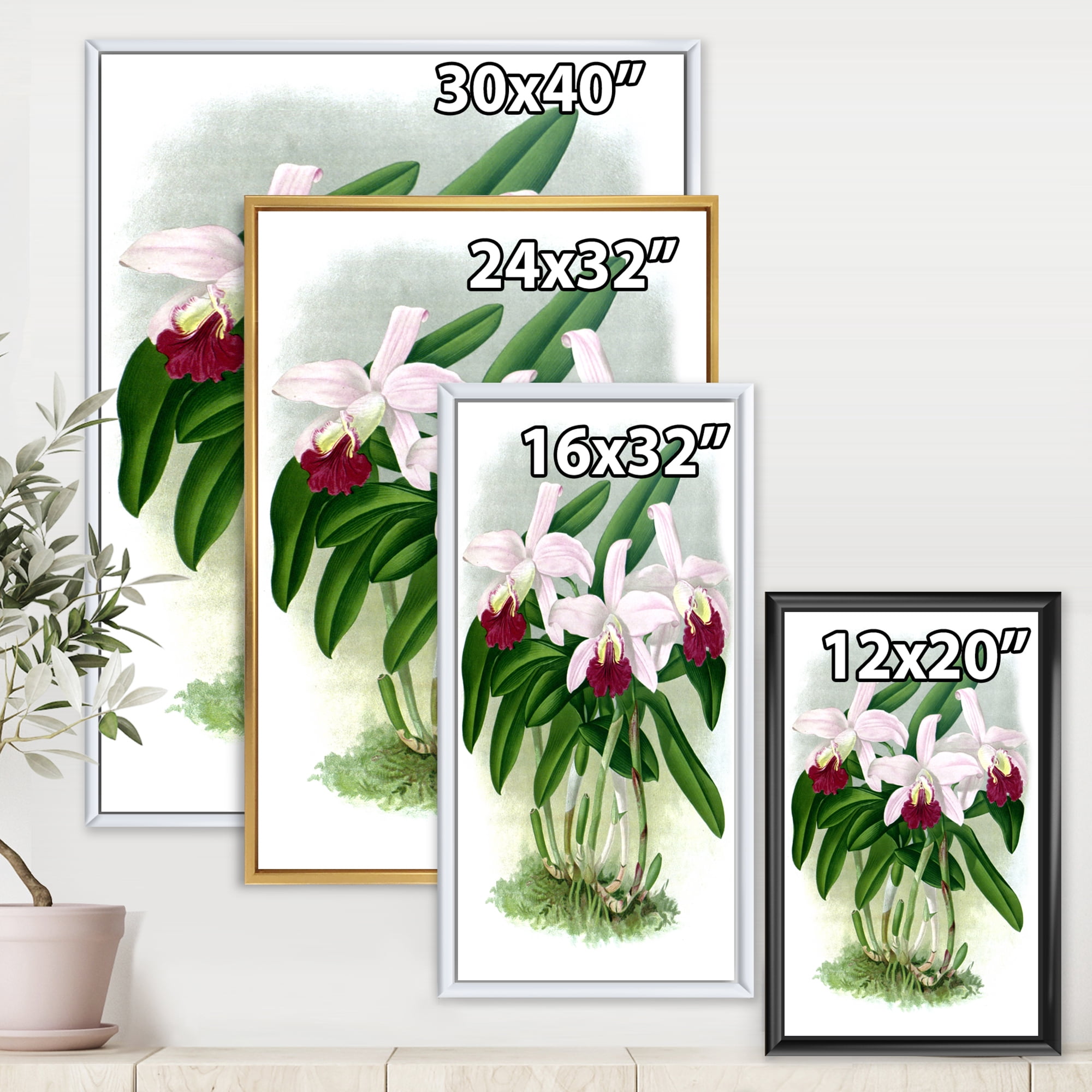 Designart 'White Vintage Orchid Flower I' Traditional Framed Canvas Wall Art Print