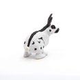 thumbnail image 3 of Papillon Rabbit, 3 of 6