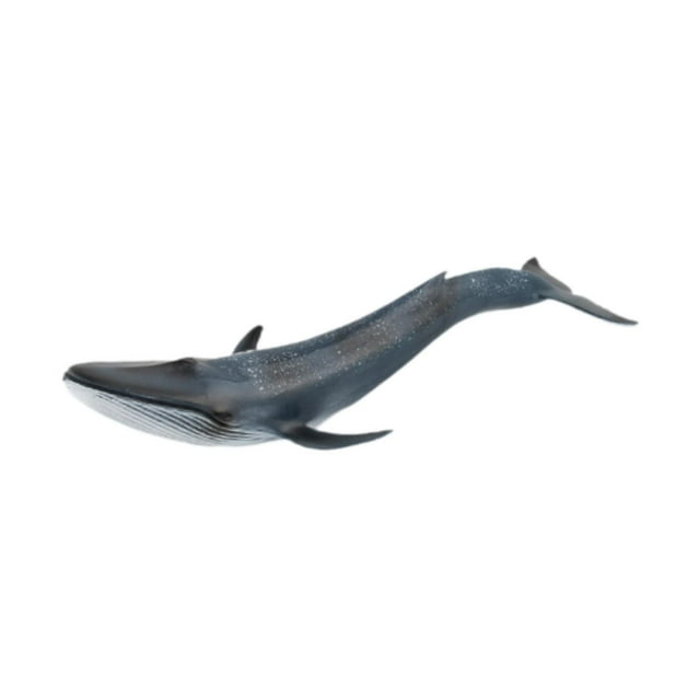 Simulación Modelo de ballenas Figuras Figuras de animales de mar suministros eduaccionales de la fiesta de juguetes Figuras coleccionables para niños