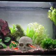 thumbnail image 5 of Decoración del cráneo del acuario, decoraciones del tanque de peces de resina cueva Betta Fish Hiedout casa de reptiles para peces pequeños, camarones, 5 of 5