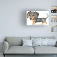 thumbnail image 3 of Danny Gordon Art 'Dappled Dachshund Walking' Canvas Art, 3 of 3