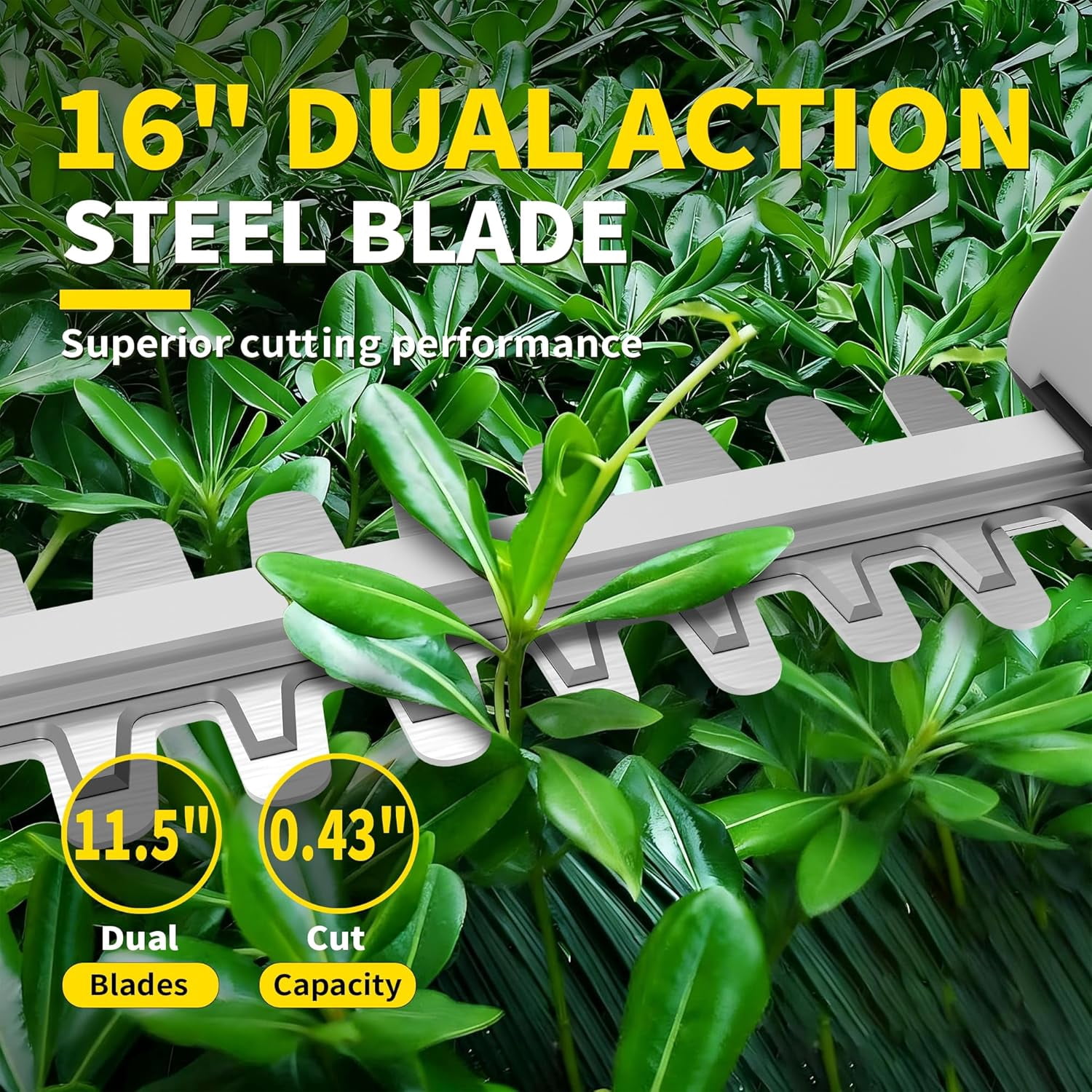 2-in-1 Cordless Hedge Trimmer with Adjustable Pole, 2 Batteries & Charger for Bush Pruning