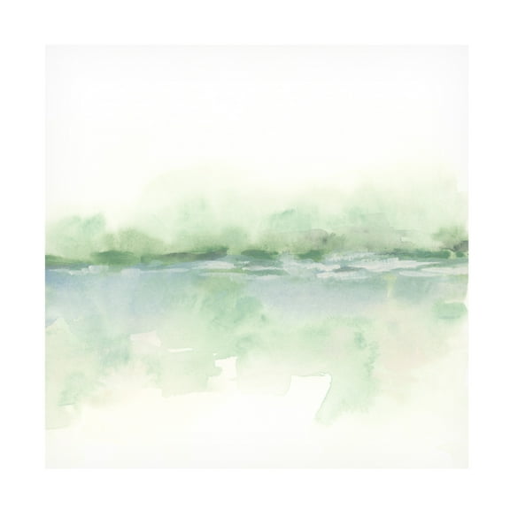 Trademark Fine Art June Erica Vess Moss Mist I Canvas Wall Art