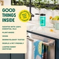 thumbnail image 6 of Aunt Fannie’s Natural Cleaning Vinegar Wipes, Bright Lemon, 35 Count, 6 of 8