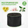 thumbnail image 7 of House Day 10 gal Cylindrical Grow Bag with Handles (10 Count), 7 of 7