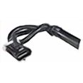 thumbnail image 3 of Holstein Parts 2CAM0448 Camshaft Position Sensor, 3 of 4