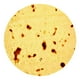 thumbnail image 2 of 2 de para camping, hogar, sofá, oficina. Baoblaze Manta de burrito, 2 of 8