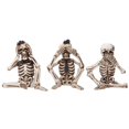 thumbnail image 1 of Resina Esqueleto Fantasma Mesa Ornamento Halloween Esqueleto Decoraciones De Mesa Granja Cocina Decoración 3 Uds Serendint HA037266-00, 1 of 6