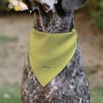 thumbnail image 5 of SpongeBob SquarePants Pet Bandana Spongebob Squarepants Normal Is Boring Pose Yellows Slip On Collar&nbsp;Bandana Only, 5 of 6