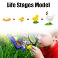 CHEEPUM Kids Electric Games for 4 Years Old Farm Game Stem Chicken Life