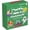 Level C, variant on Buddy Readers (Parent Pack): Level a, (Paperback)