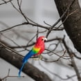 thumbnail image 7 of Yvsxxv 1 Colorful Realistic Parrot Figurines & Knick-Knacks Artificial Bird Sculpture for Outdoor Garden Decor, 7 of 7